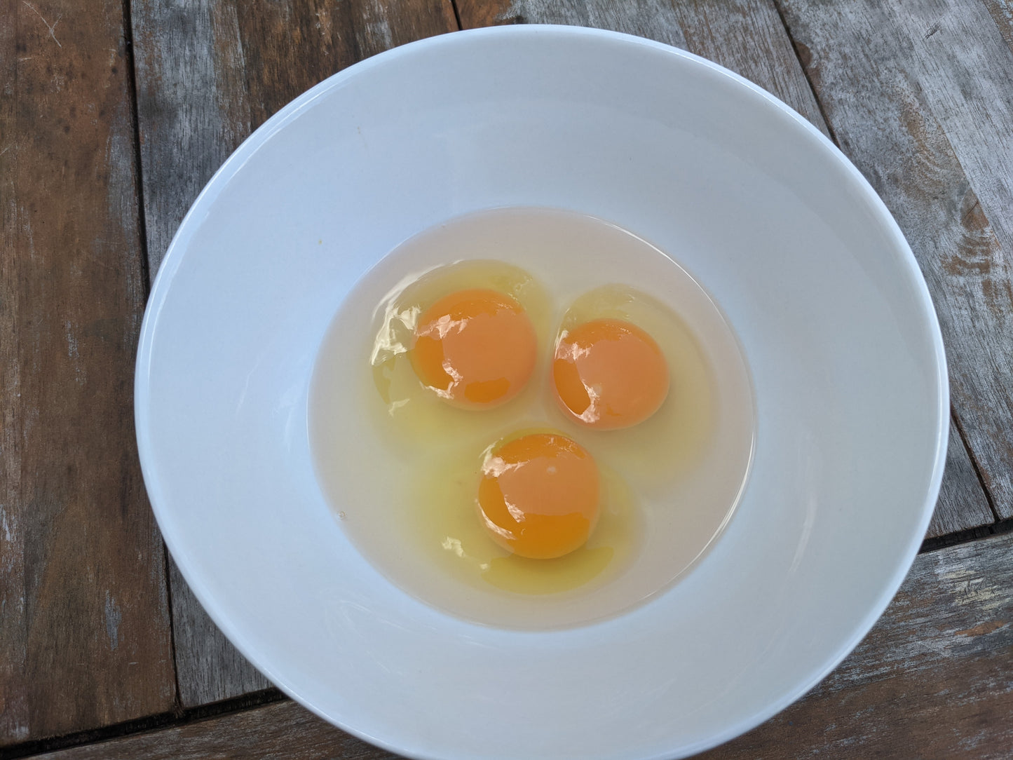 Forest Chicken Eggs - 1dz (soy-free)