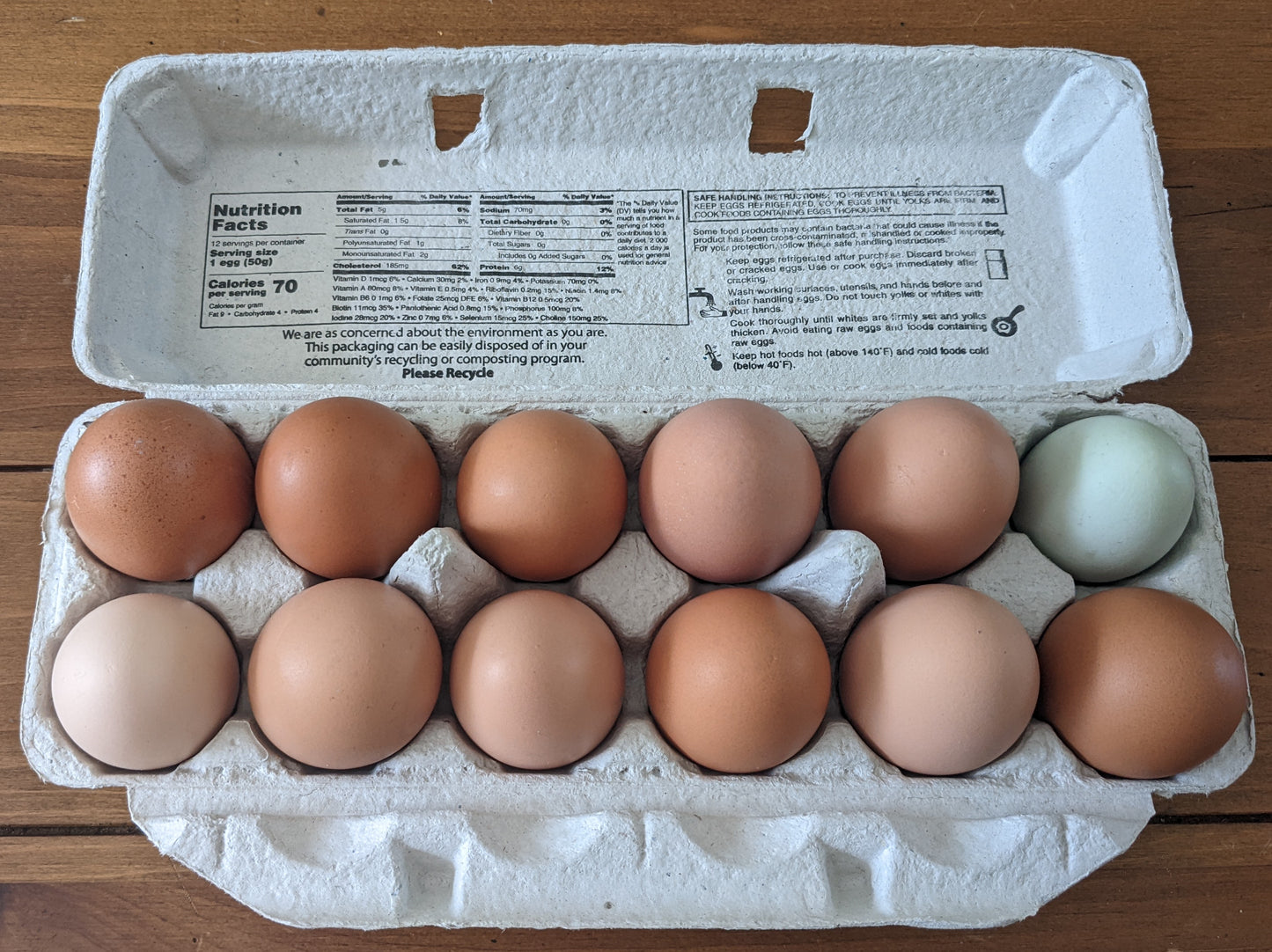 Forest Chicken Eggs - 1dz (soy-free)