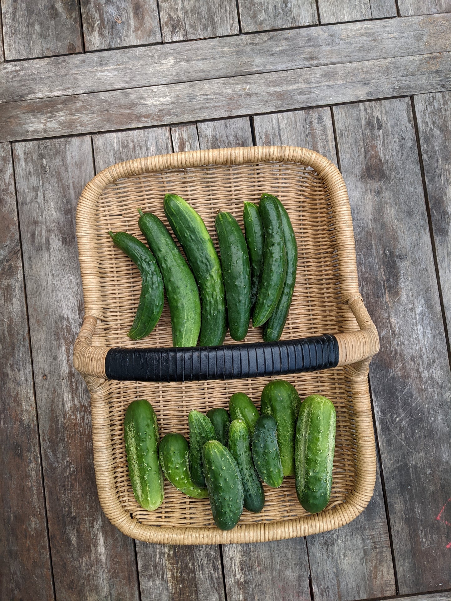 Cucumbers - No Spray (2lbs bags)