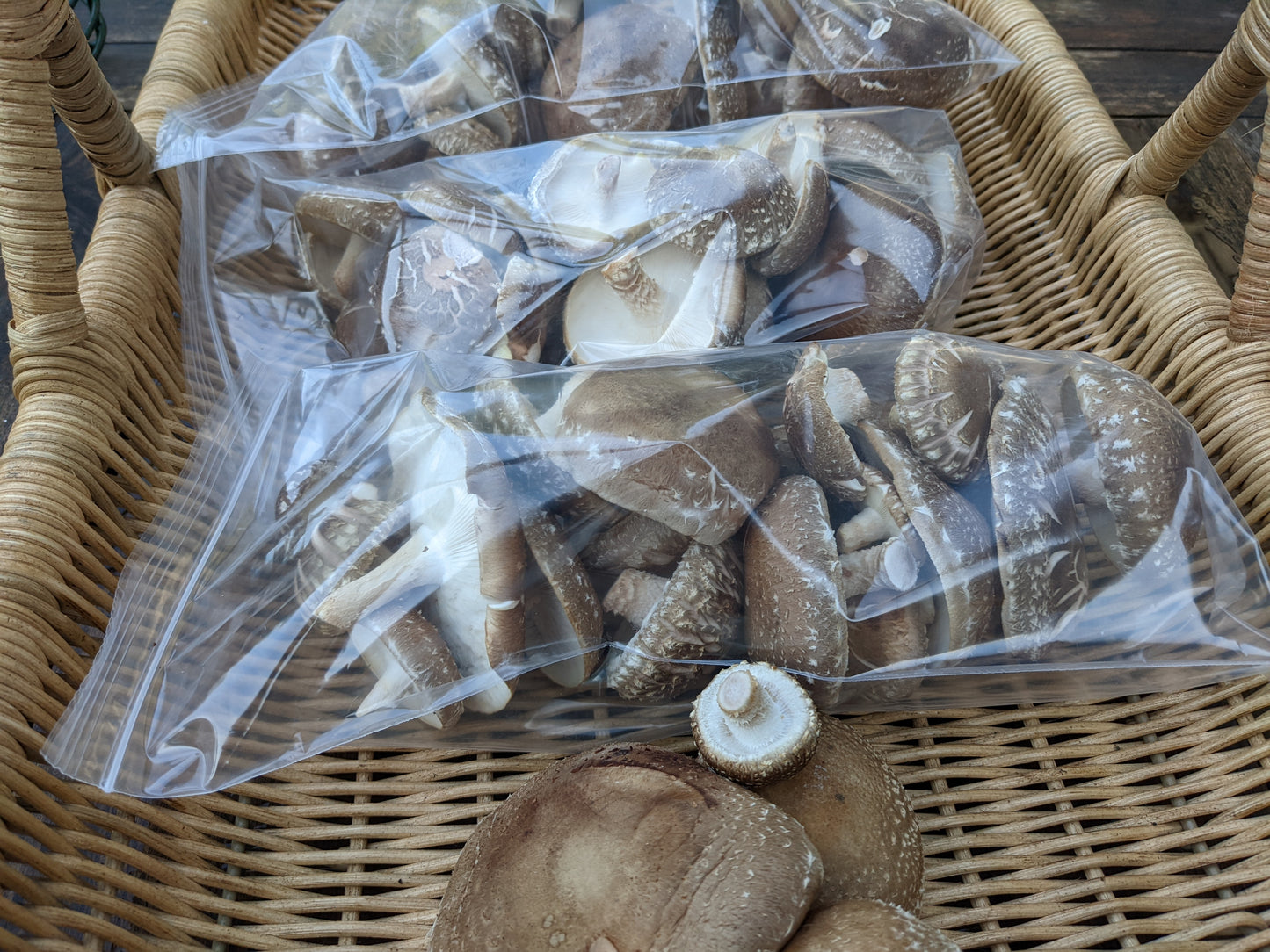Shiitake Mushrooms - 1/2lb bag